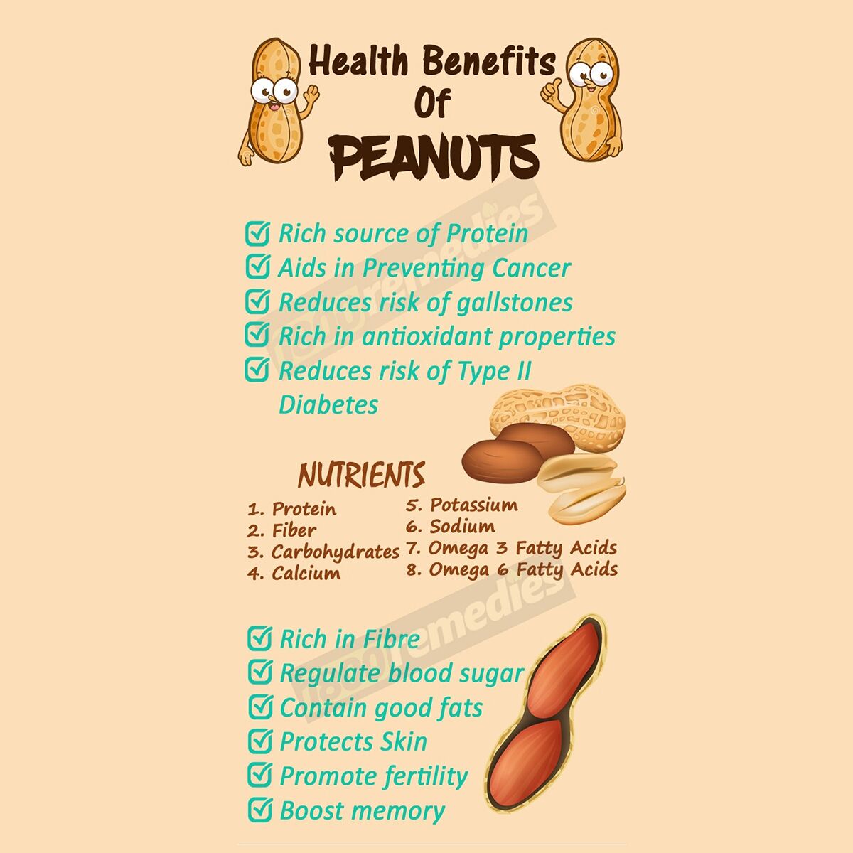 Cold Pressed Groundnut Oil Cold Pressed Groundnut Oil
