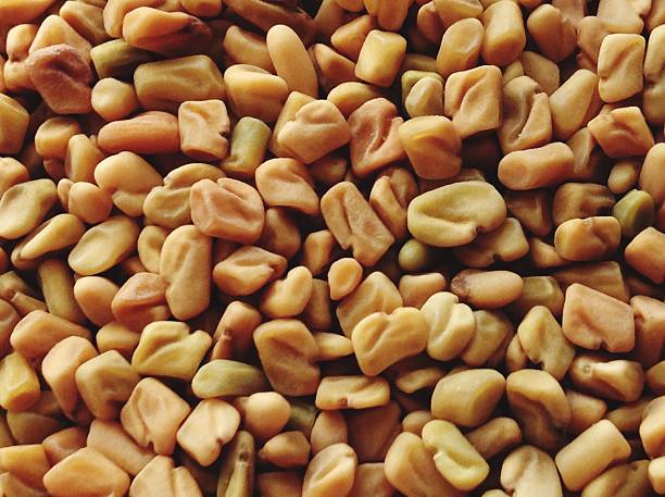 Do You Know About The Medicinal Properties Of Dill? 1 Gettyimages 603075357 612X612 1