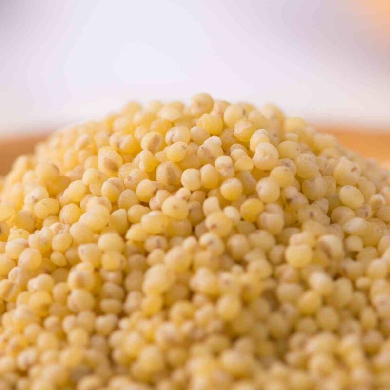 Foxtail Millet Foxtail Millet